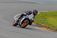 PJ-Motorsport-2019;anglesey-no-limits-trackday;anglesey-photographs;anglesey-trackday-photographs;enduro-digital-images;event-digital-images;eventdigitalimages;no-limits-trackdays;peter-wileman-photography;racing-digital-images;trac-mon;trackday-digital-images;trackday-photos;ty-croes